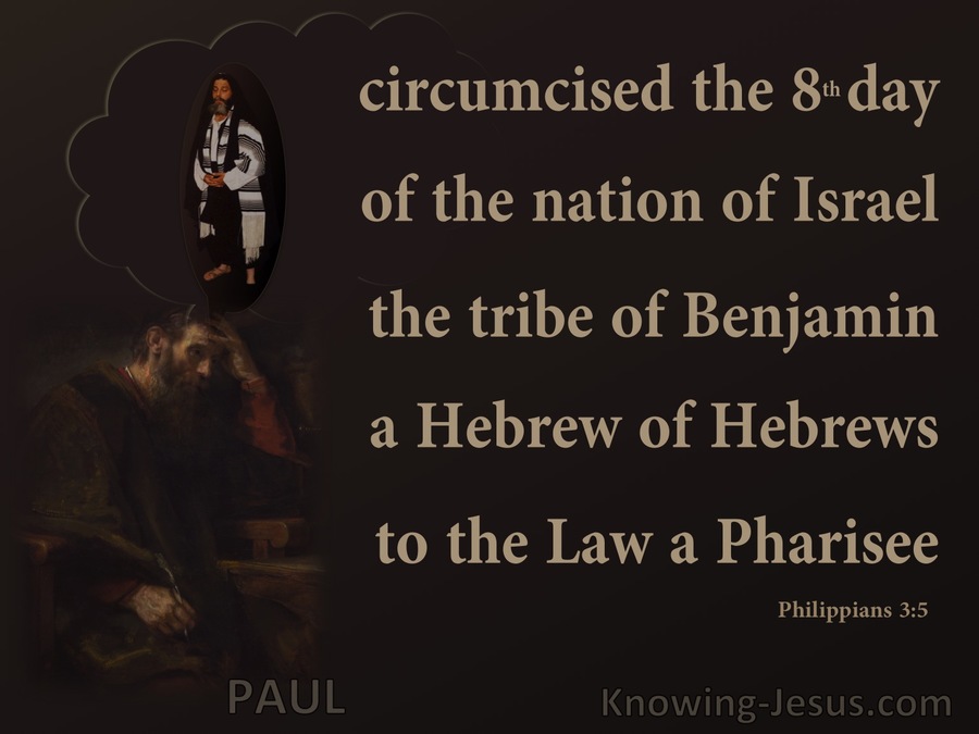 Philippians 3:5 Paul A Hebrews Of Hebrews (brown)